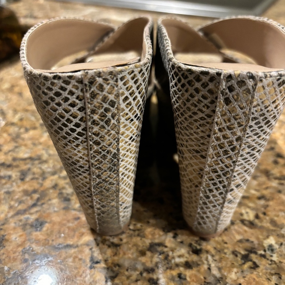 Obsession Rules Size 7.5 Platform Snake Skin Prin… - image 5